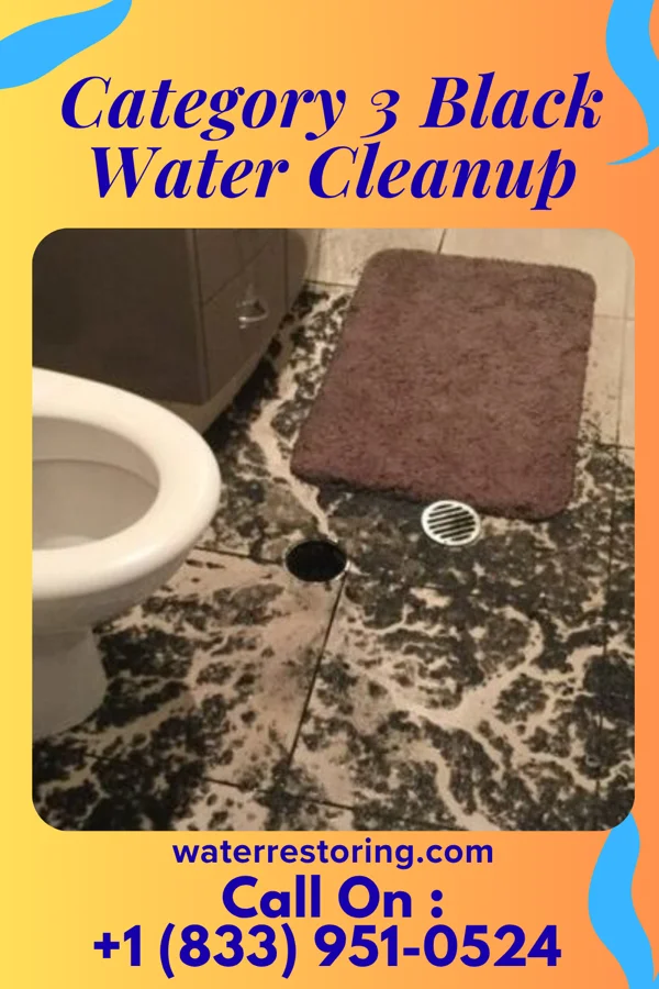 Category 3 Black Water Cleanup in La Paloma Ranchettes, TX