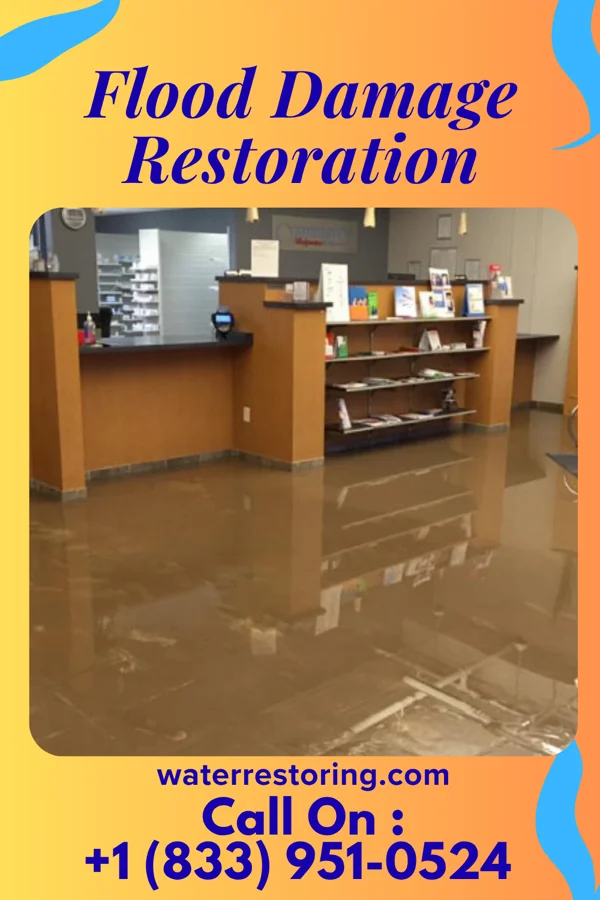 Flood Damage Restoration in La Paloma Ranchettes, TX
