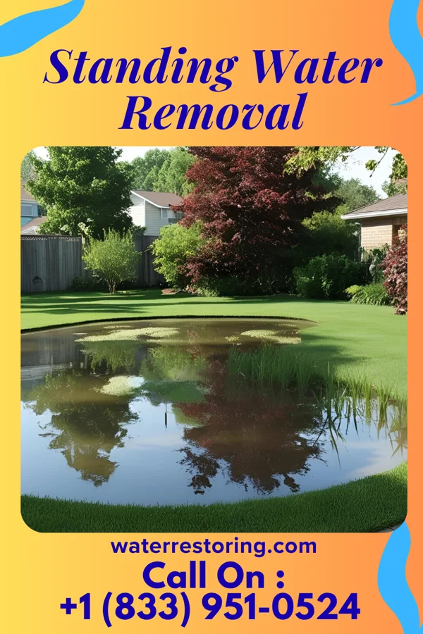 Standing Water Removal in La Paloma Ranchettes, TX